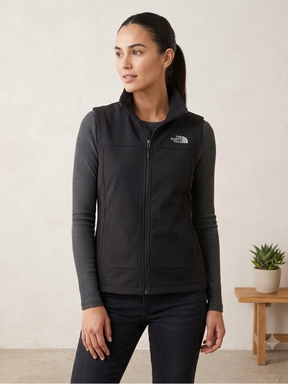 The North Face Black Slevless Vest - Picture 2 of 5